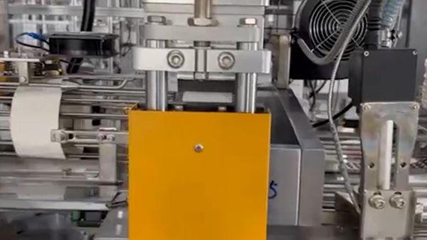 Paper Container Forming Machine, DESPU-B120/B120S